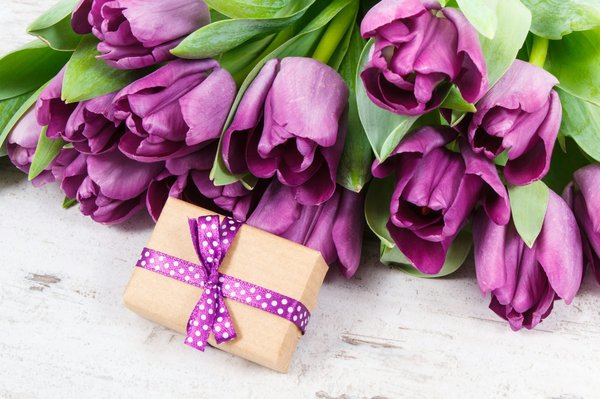 Trouver la chaussure ski occasion idéale à prix réduit